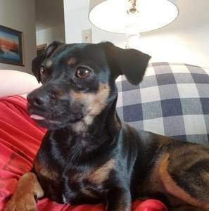 Meet your Posher, Diane